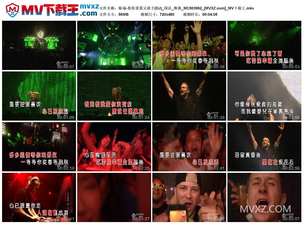 陈瑞-恨你爱我又放手(DJ)_国语_舞曲_MC503992